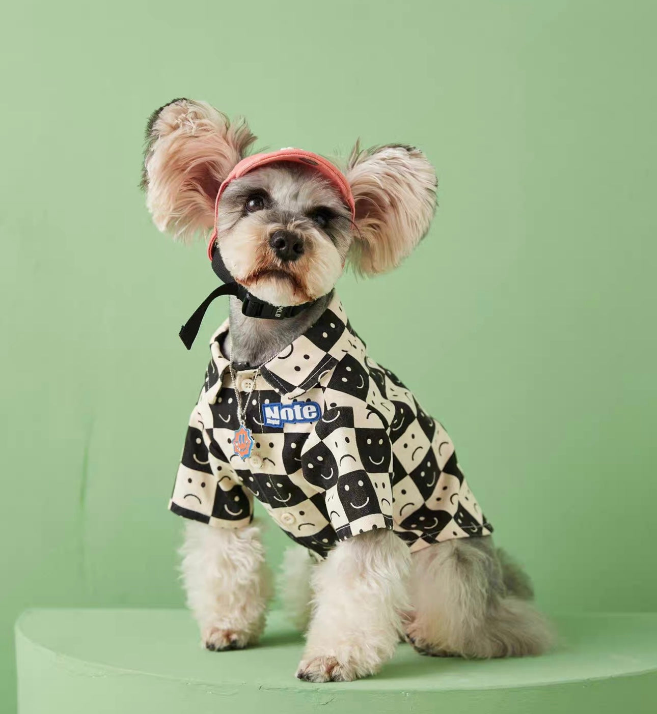 〜11kgまで|犬服|カッコイイ男の子チェック柄シャツ