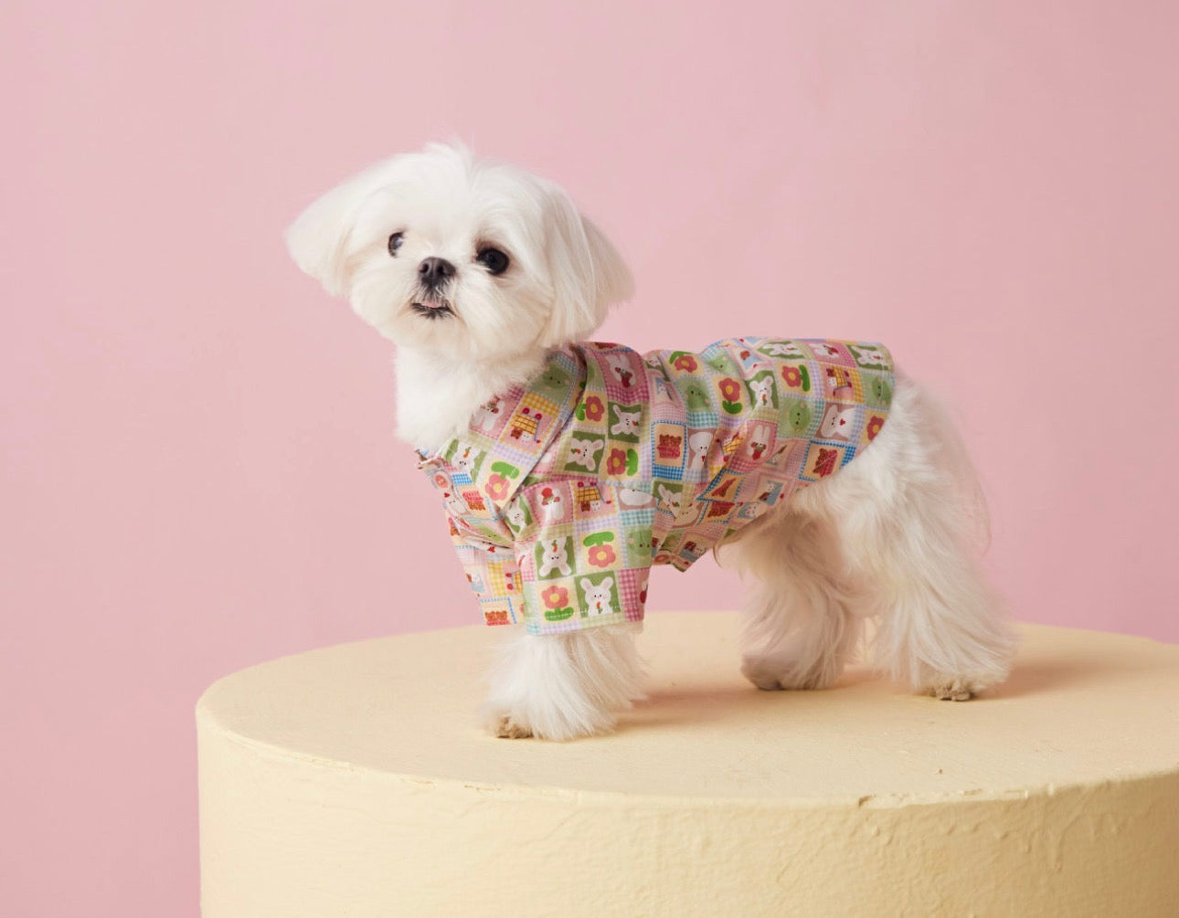 〜11kgまで|犬服|兎柄チェックシャツ