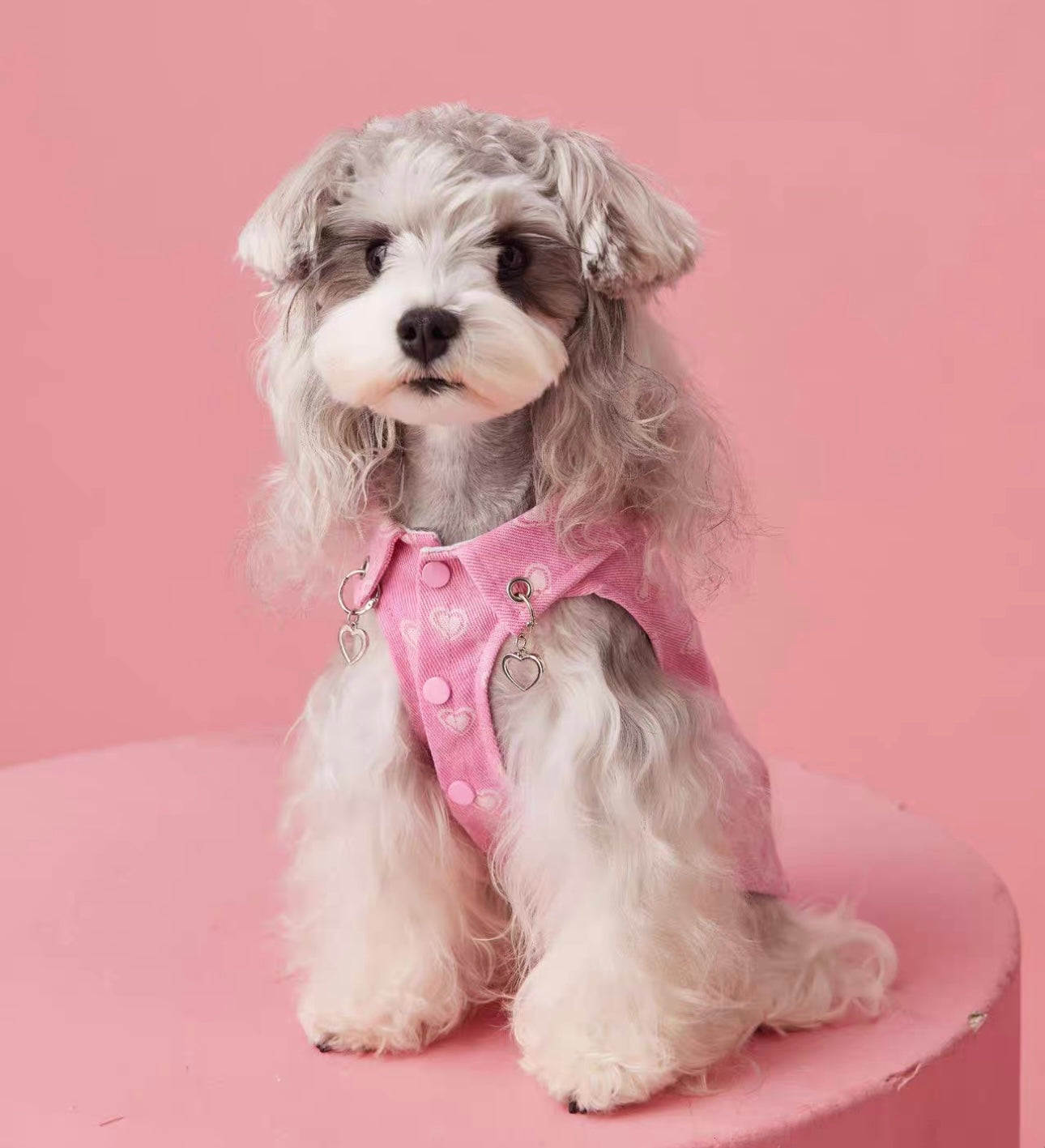 〜11kgまで|犬服|ハート柄デニムベスト