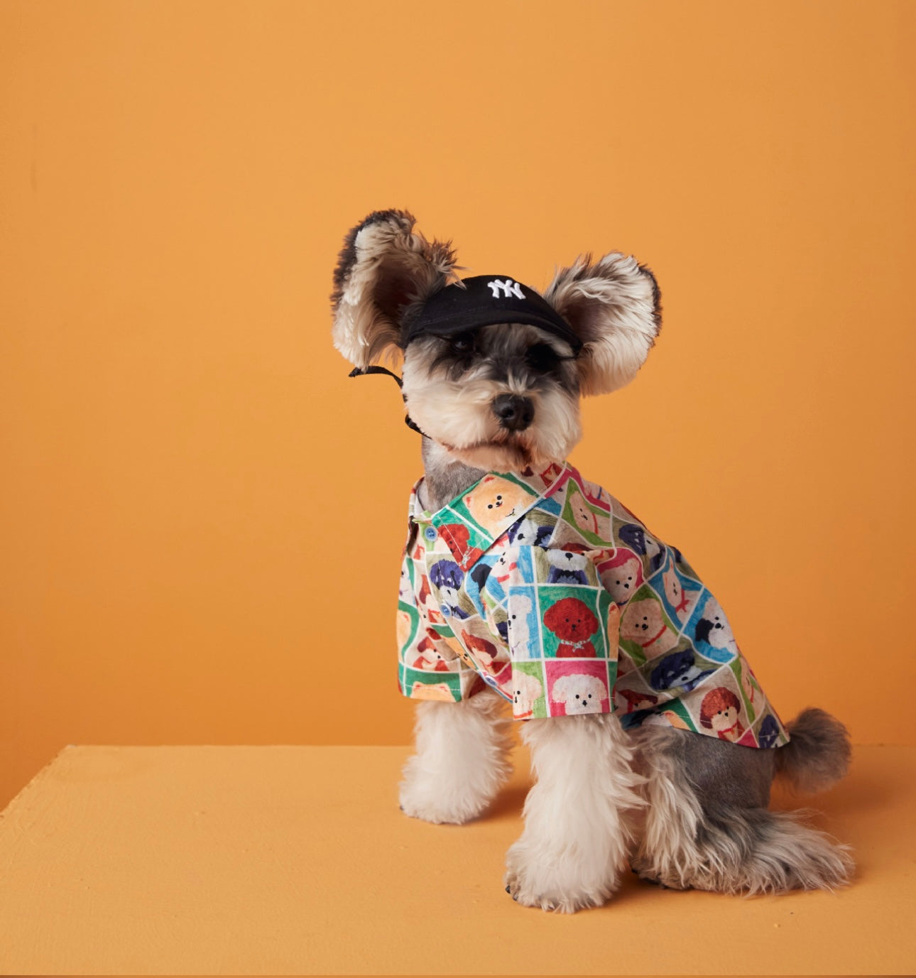 〜11kgまで|犬服|わんちゃんxチェック柄シャツ