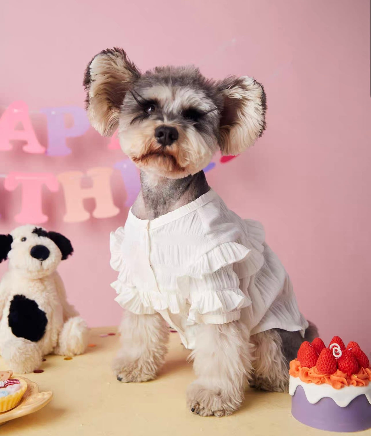 〜11kgまで|犬服|プリンセス風フリルワンピース
