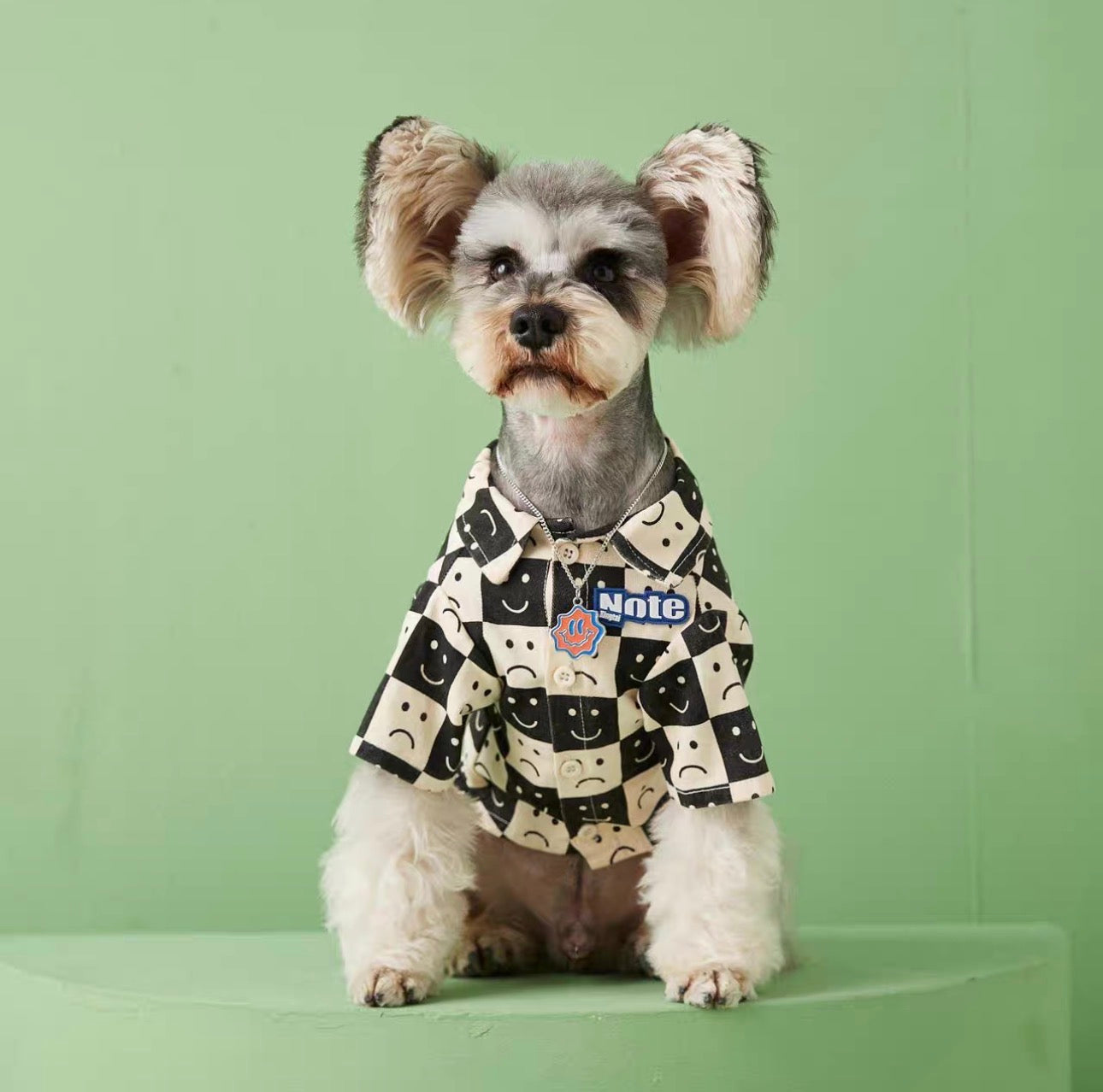 〜11kgまで|犬服|カッコイイ男の子チェック柄シャツ
