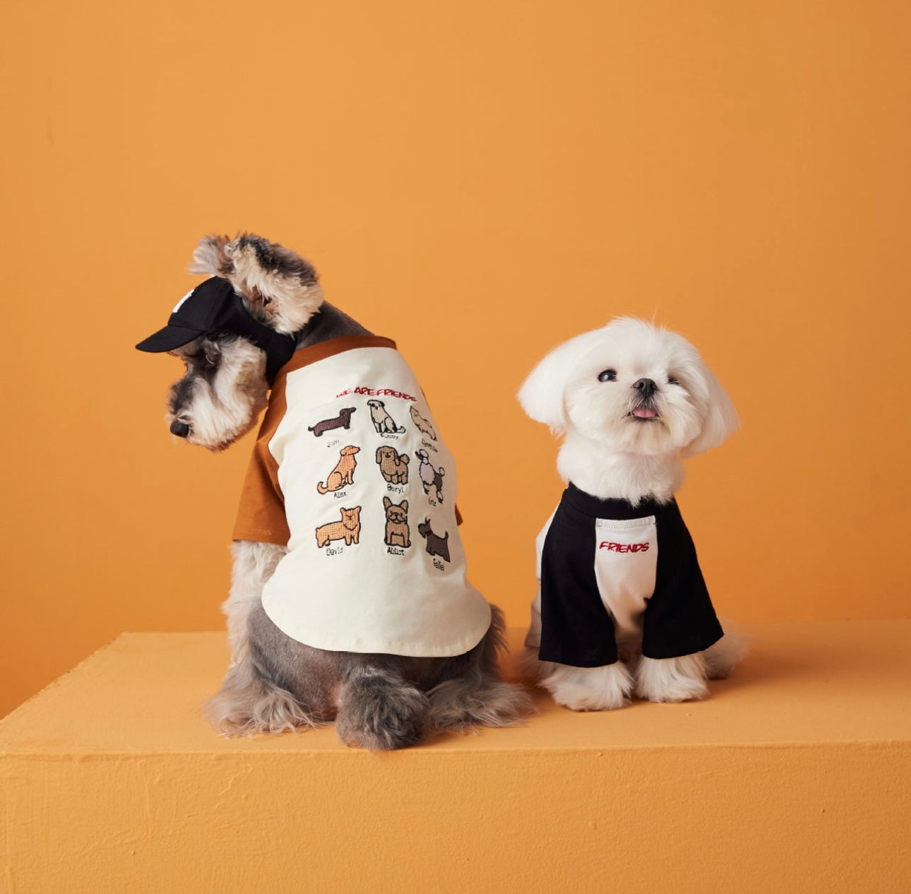 〜11kgまで|犬服|わんちゃんの友達刺繍Tシャツ