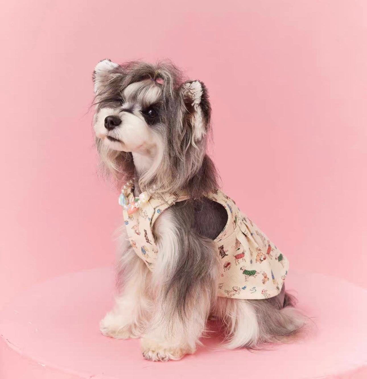 〜11kgまで|犬服|ワンちゃん柄サロペットスカート
