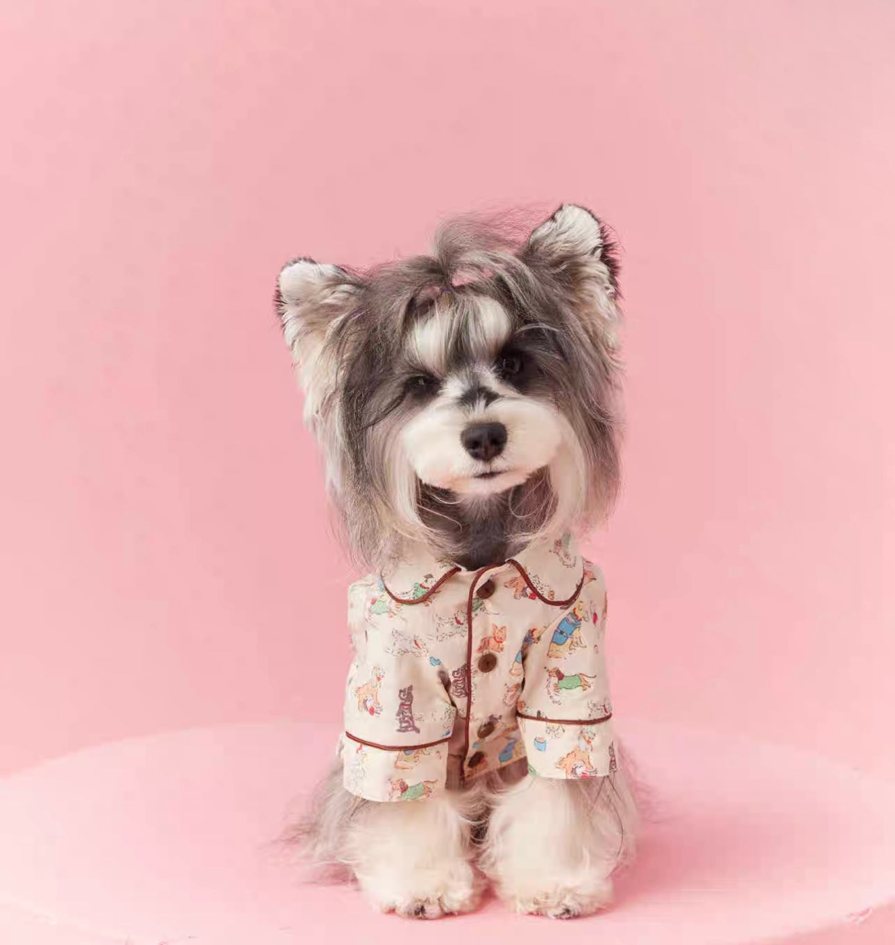 〜11kgまで|犬服|わんちゃん柄シャツ·フリルワンピース