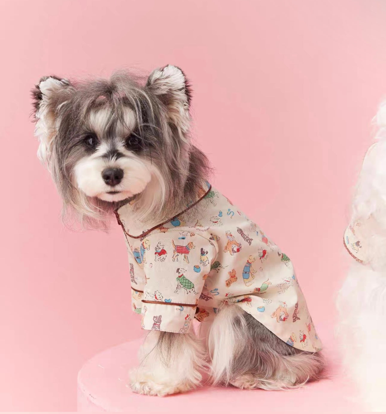 〜11kgまで|犬服|わんちゃん柄シャツ·フリルワンピース