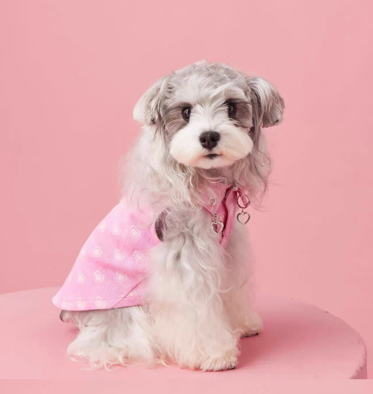 〜11kgまで|犬服|ハート柄デニムベスト