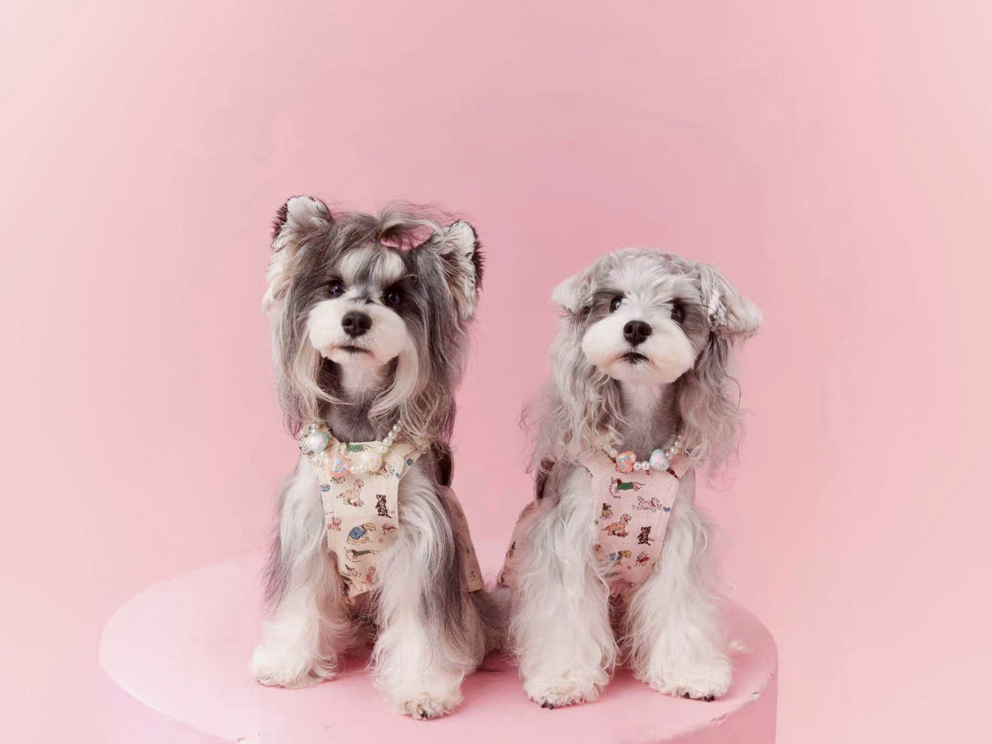 〜11kgまで|犬服|ワンちゃん柄サロペットスカート
