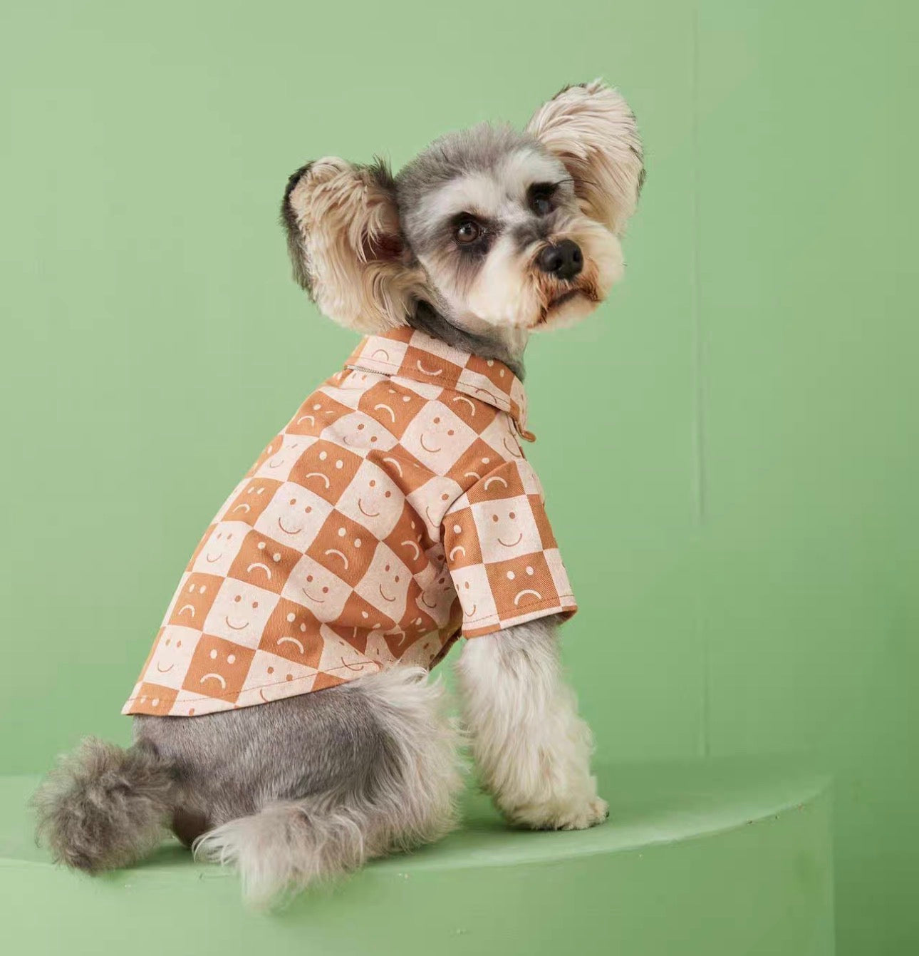〜11kgまで|犬服|カッコイイ男の子チェック柄シャツ