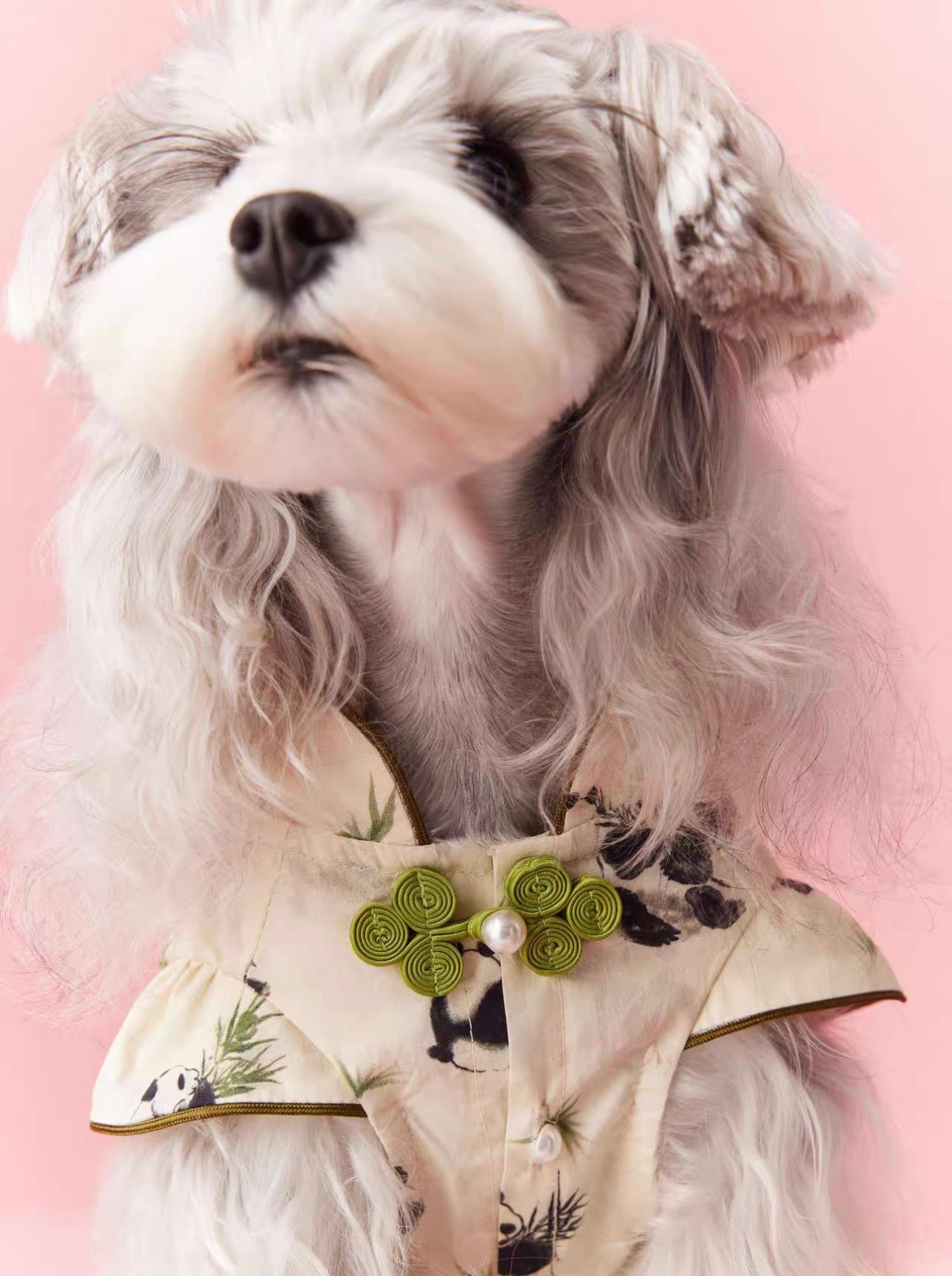【販売終了】|犬服|超人気のパンダ柄ペットウェア🐼