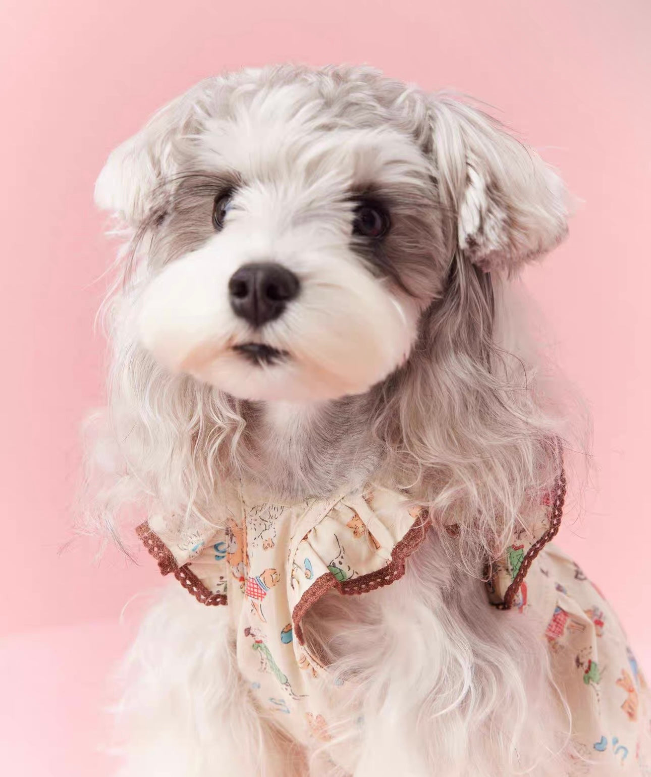 〜11kgまで|犬服|わんちゃん柄シャツ·フリルワンピース