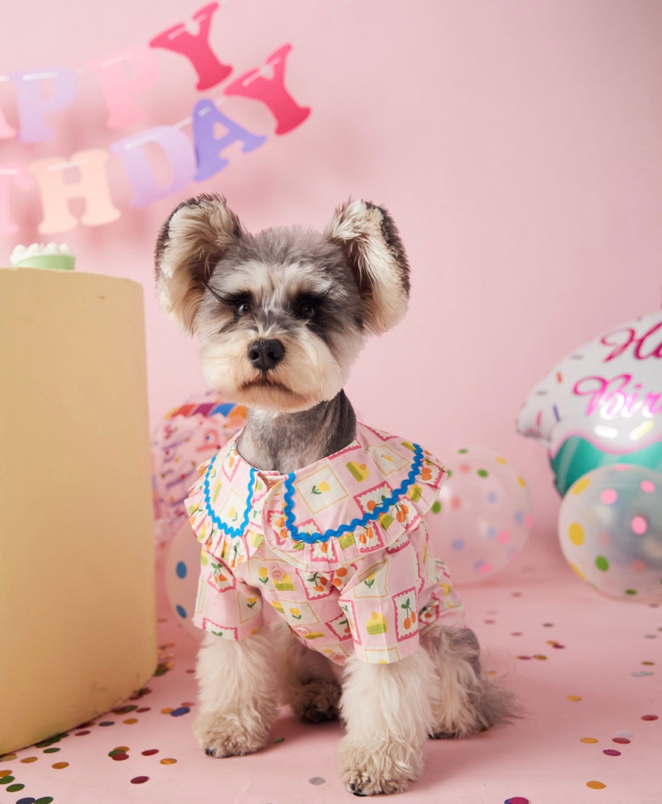 〜11kgまで|犬服|チェリー柄チェックシャツ