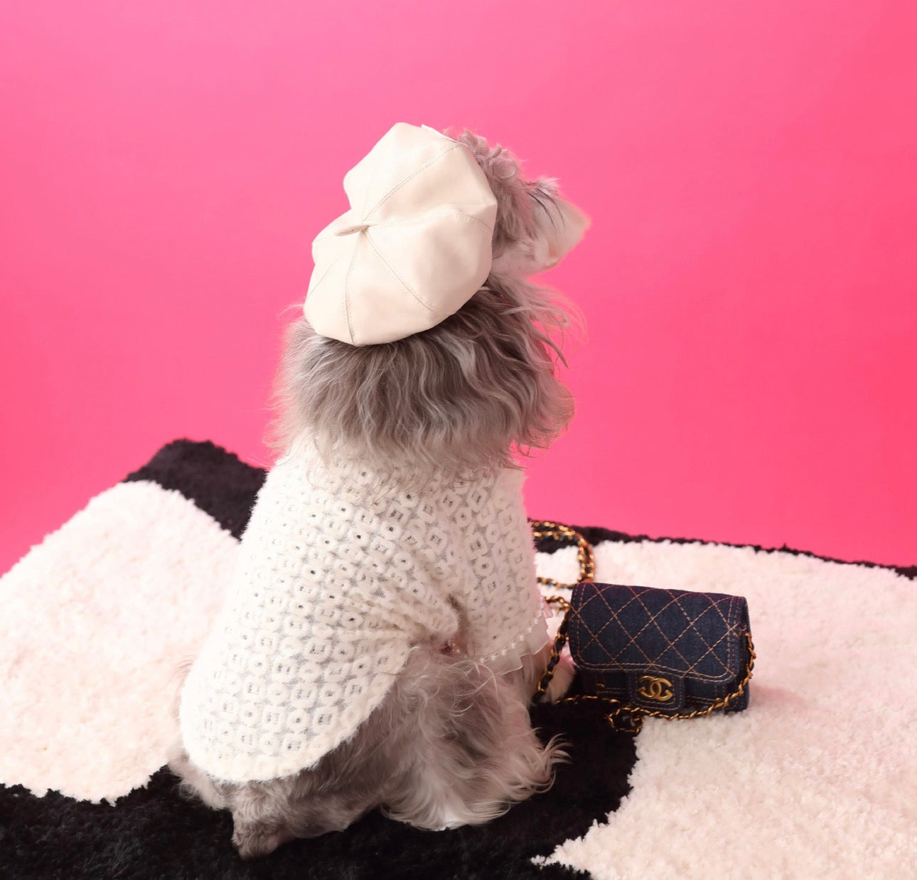 〜11kgまで|犬服|プリンセス風インナー