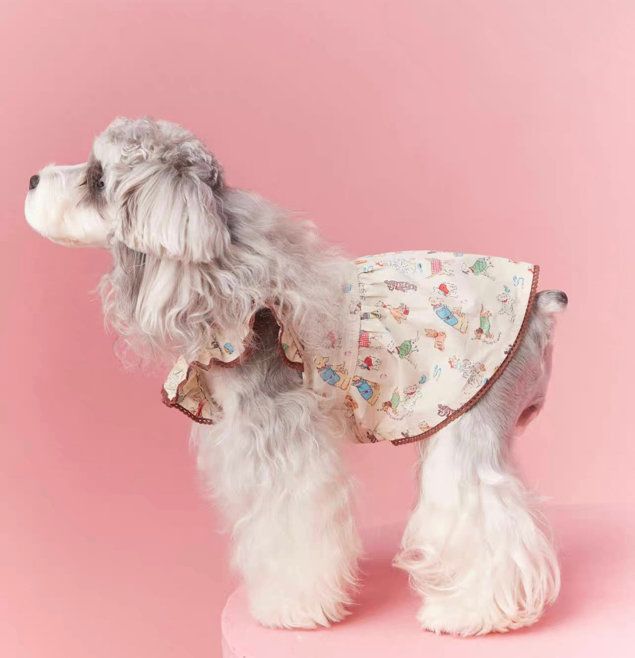 〜11kgまで|犬服|わんちゃん柄シャツ·フリルワンピース