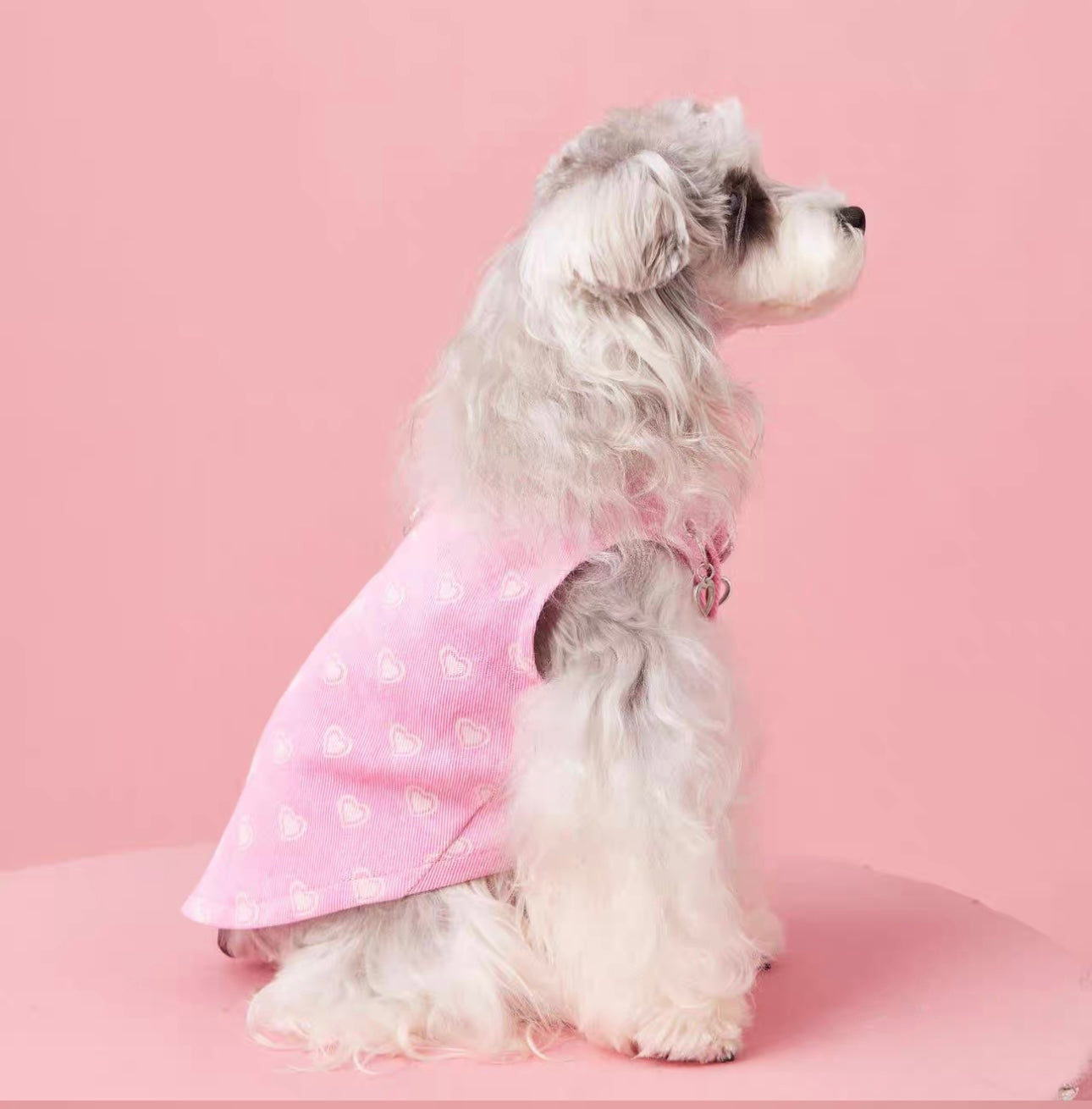 〜11kgまで|犬服|ハート柄デニムベスト