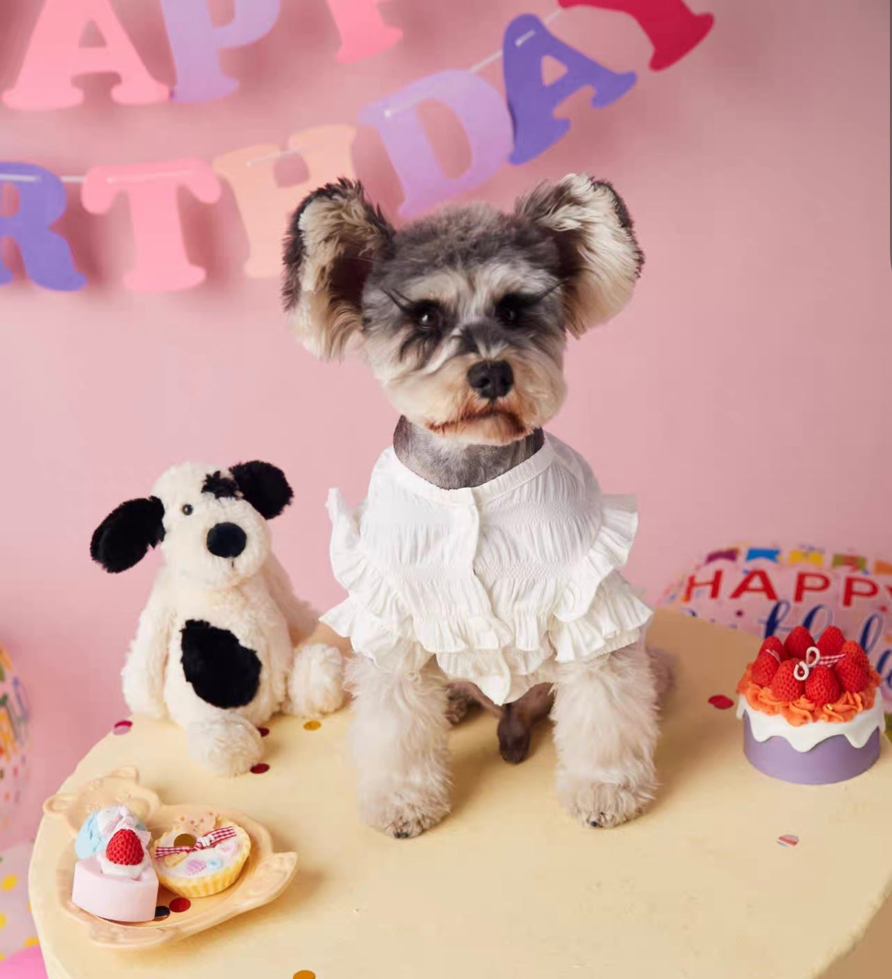 〜11kgまで|犬服|プリンセス風フリルワンピース
