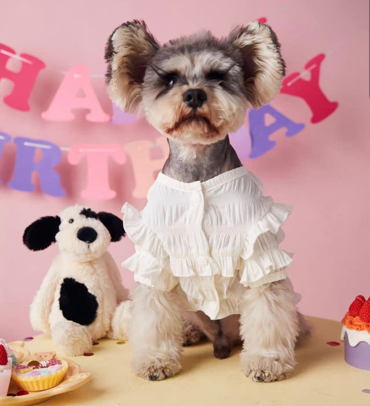 〜11kgまで|犬服|プリンセス風フリルワンピース