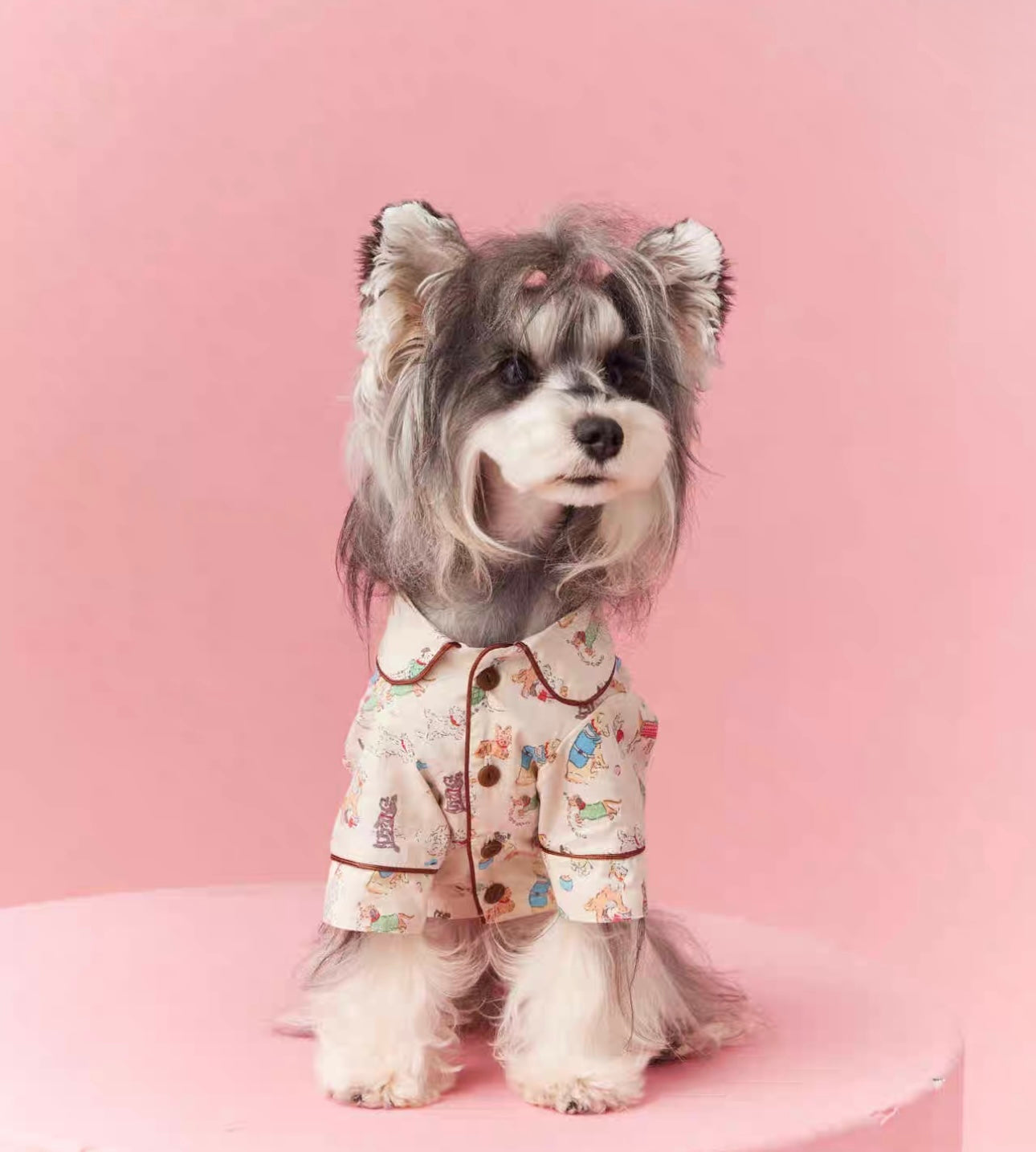 〜11kgまで|犬服|わんちゃん柄シャツ·フリルワンピース
