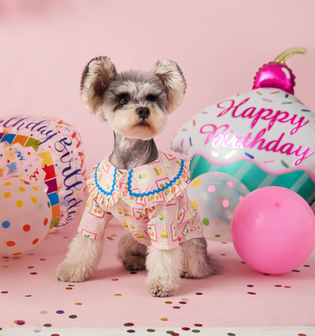 〜11kgまで|犬服|チェリー柄チェックシャツ