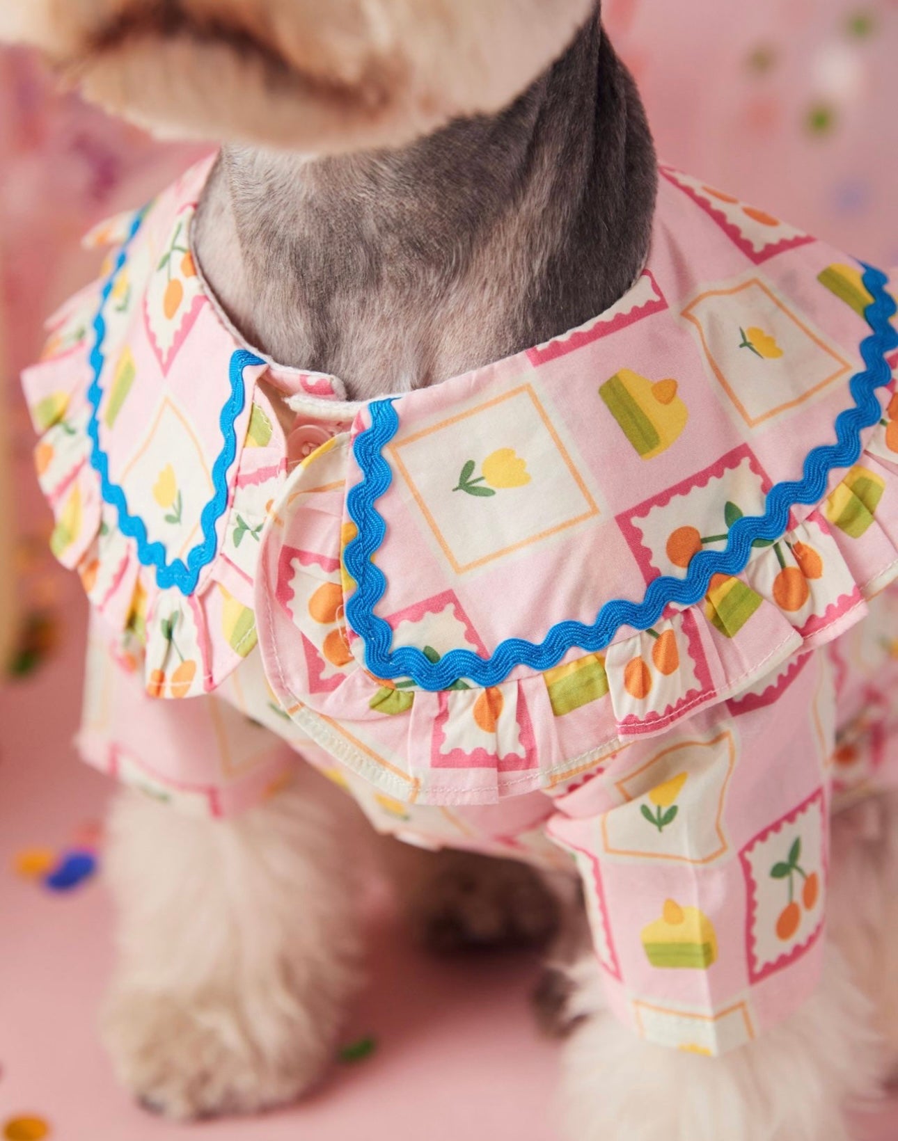 〜11kgまで|犬服|チェリー柄チェックシャツ