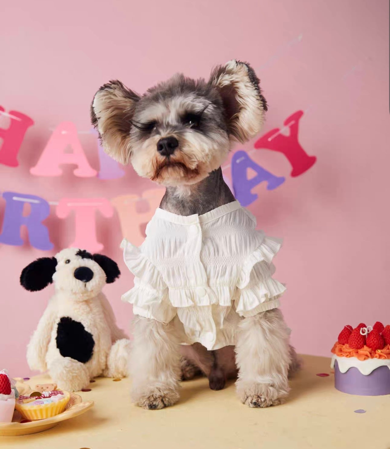 〜11kgまで|犬服|プリンセス風フリルワンピース