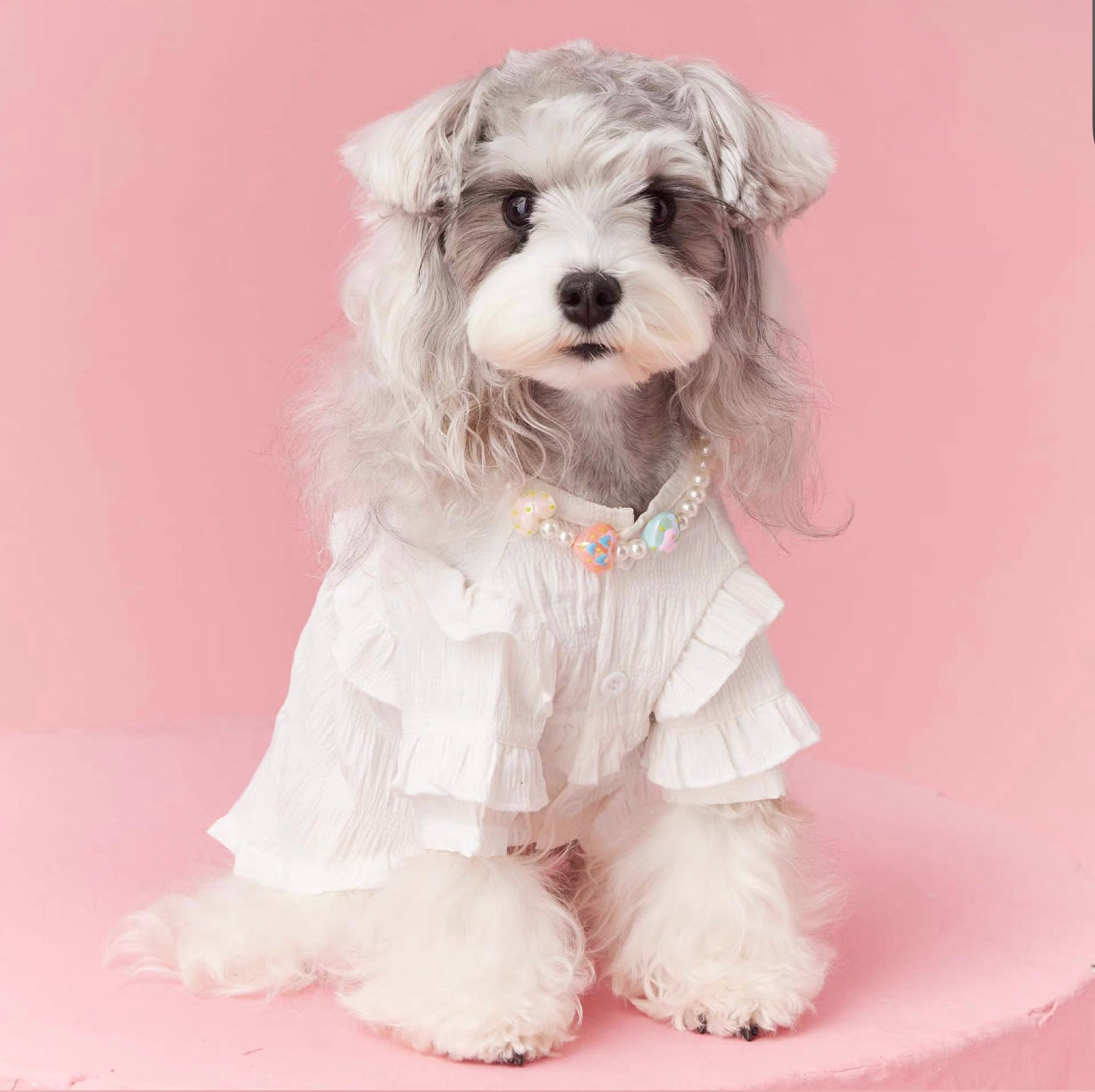 〜11kgまで|犬服|プリンセス風フリルワンピース