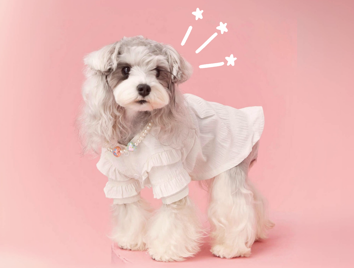 〜11kgまで|犬服|プリンセス風フリルワンピース