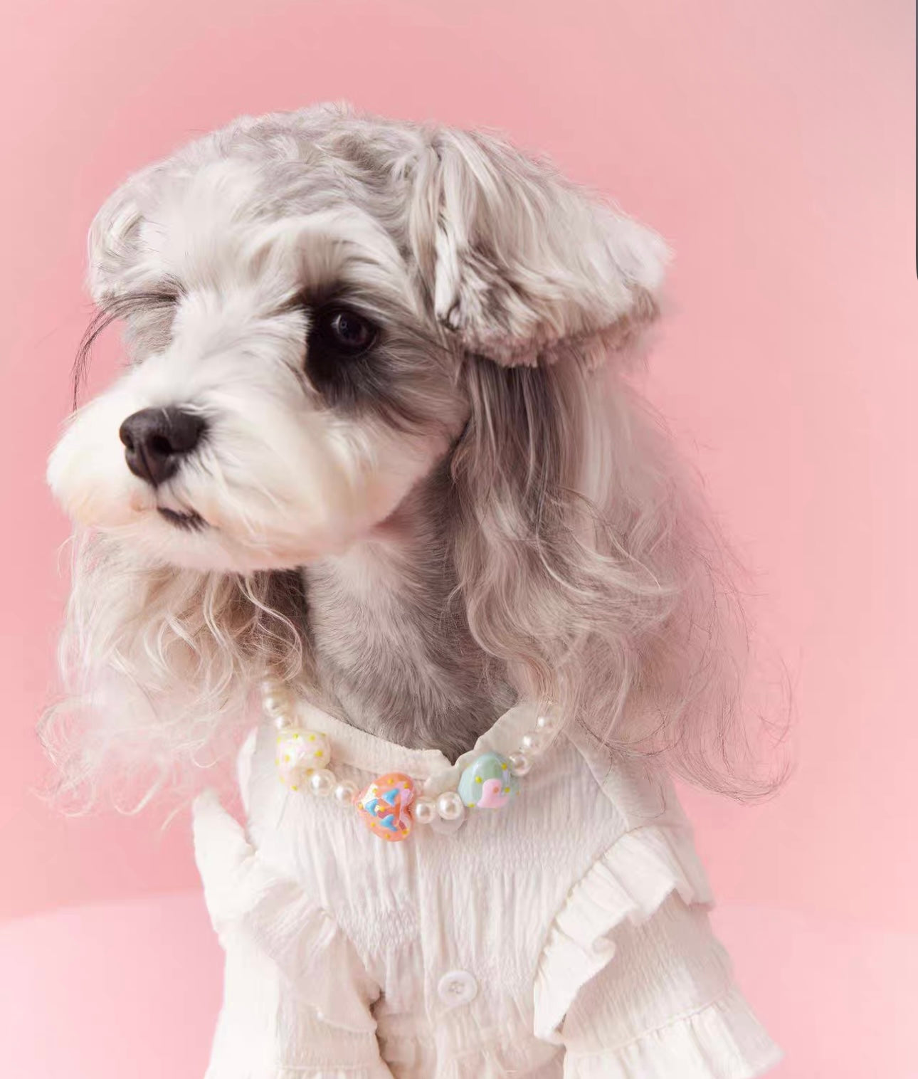 〜11kgまで|犬服|プリンセス風フリルワンピース