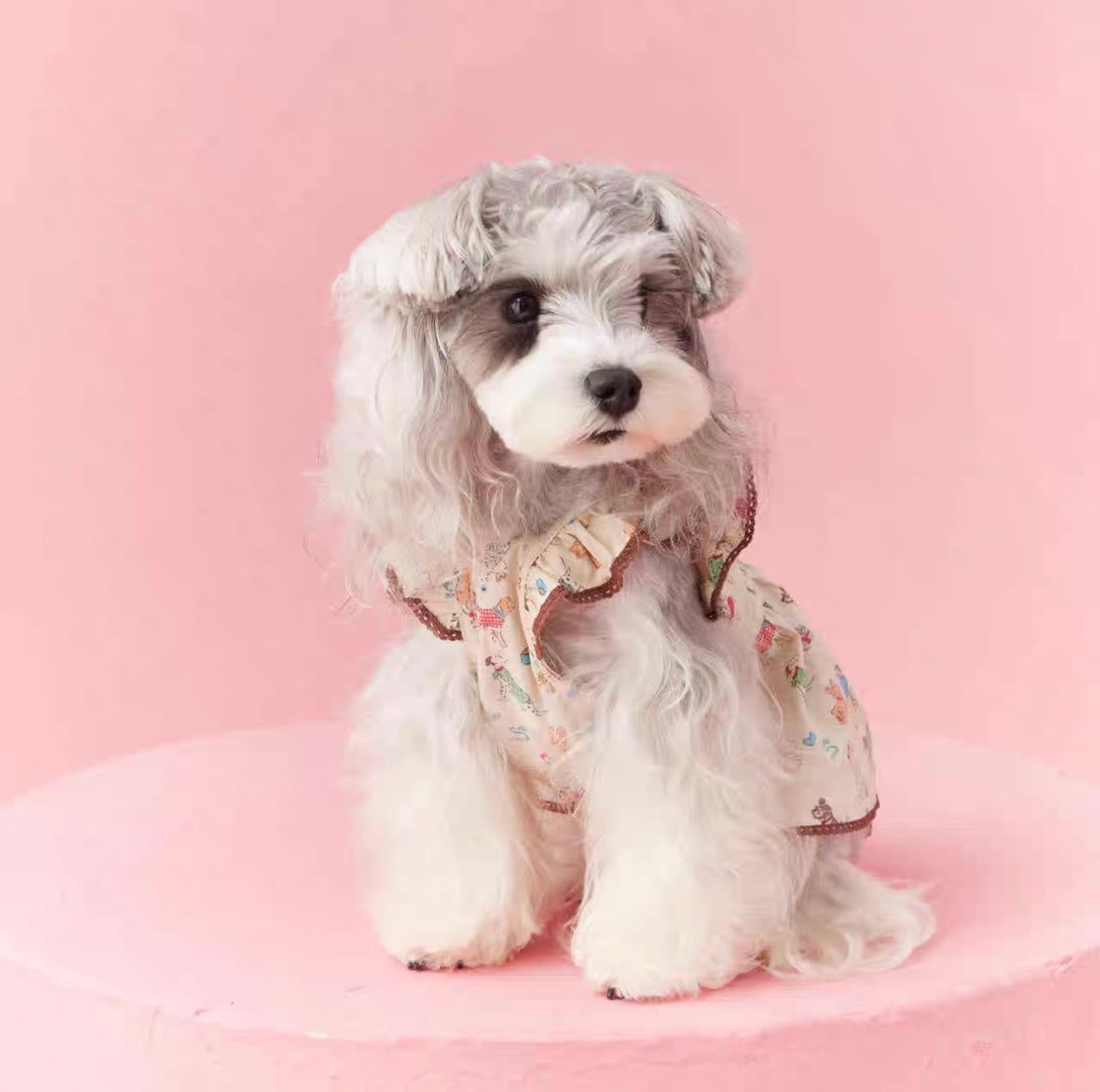 〜11kgまで|犬服|わんちゃん柄シャツ·フリルワンピース