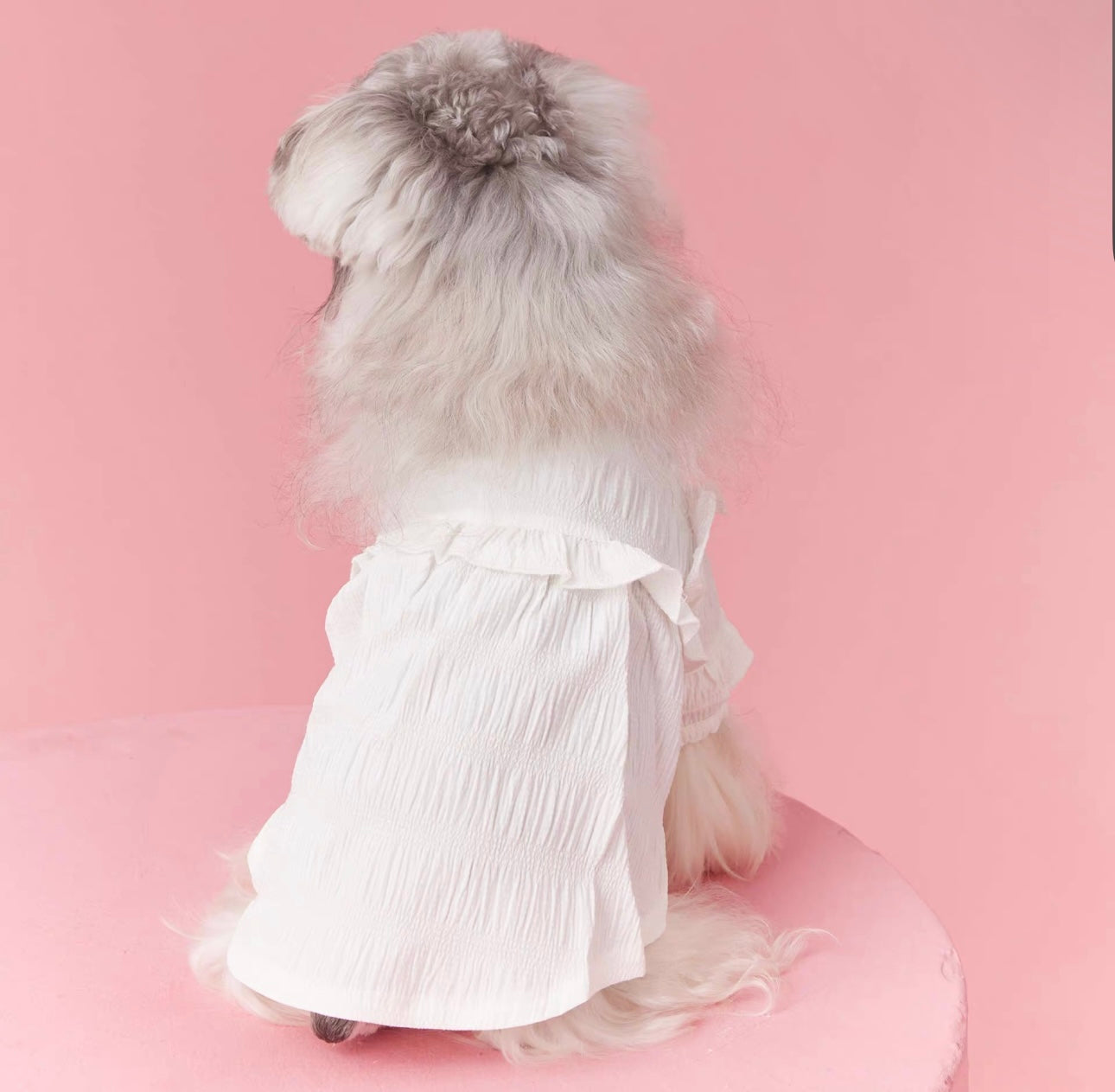 〜11kgまで|犬服|プリンセス風フリルワンピース