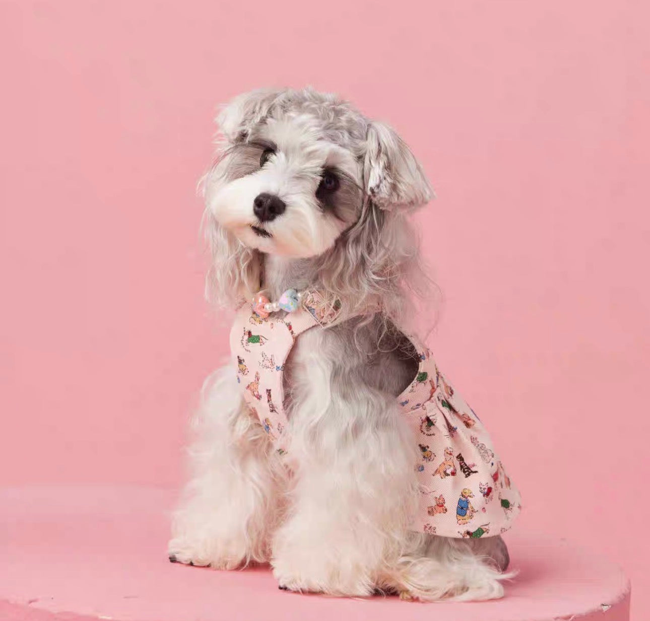 〜11kgまで|犬服|ワンちゃん柄サロペットスカート