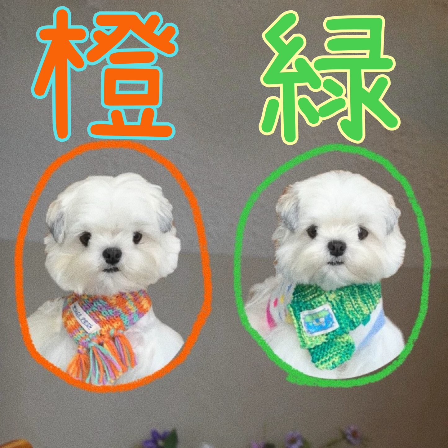 【予約終了】橙|緑 ニットマフラー🧣