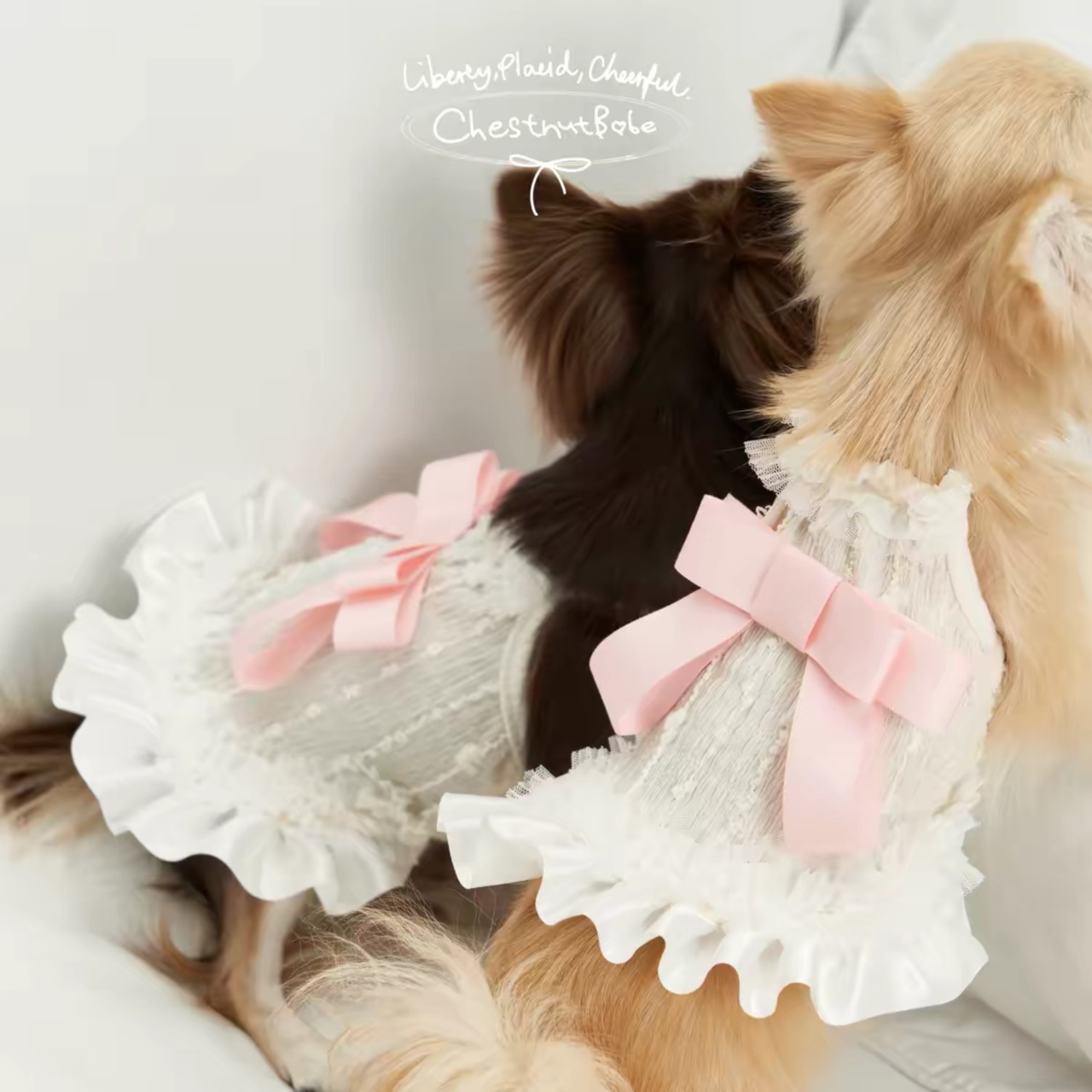 【予約販売商品】ButterSea 蝶結びキャミソールワンピース(White)