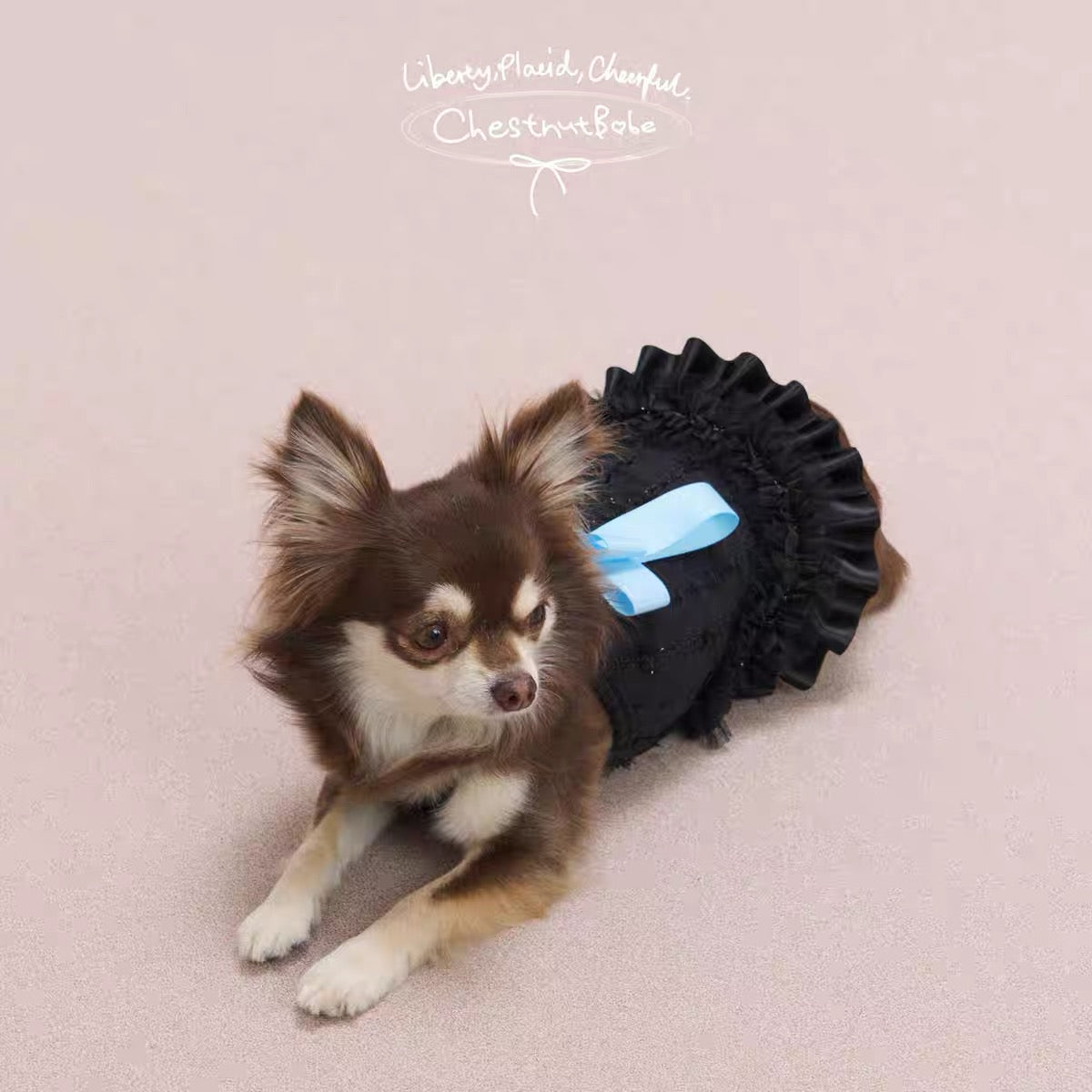 【予約販売商品】ButterSea 蝶結びキャミソールワンピース （Black）