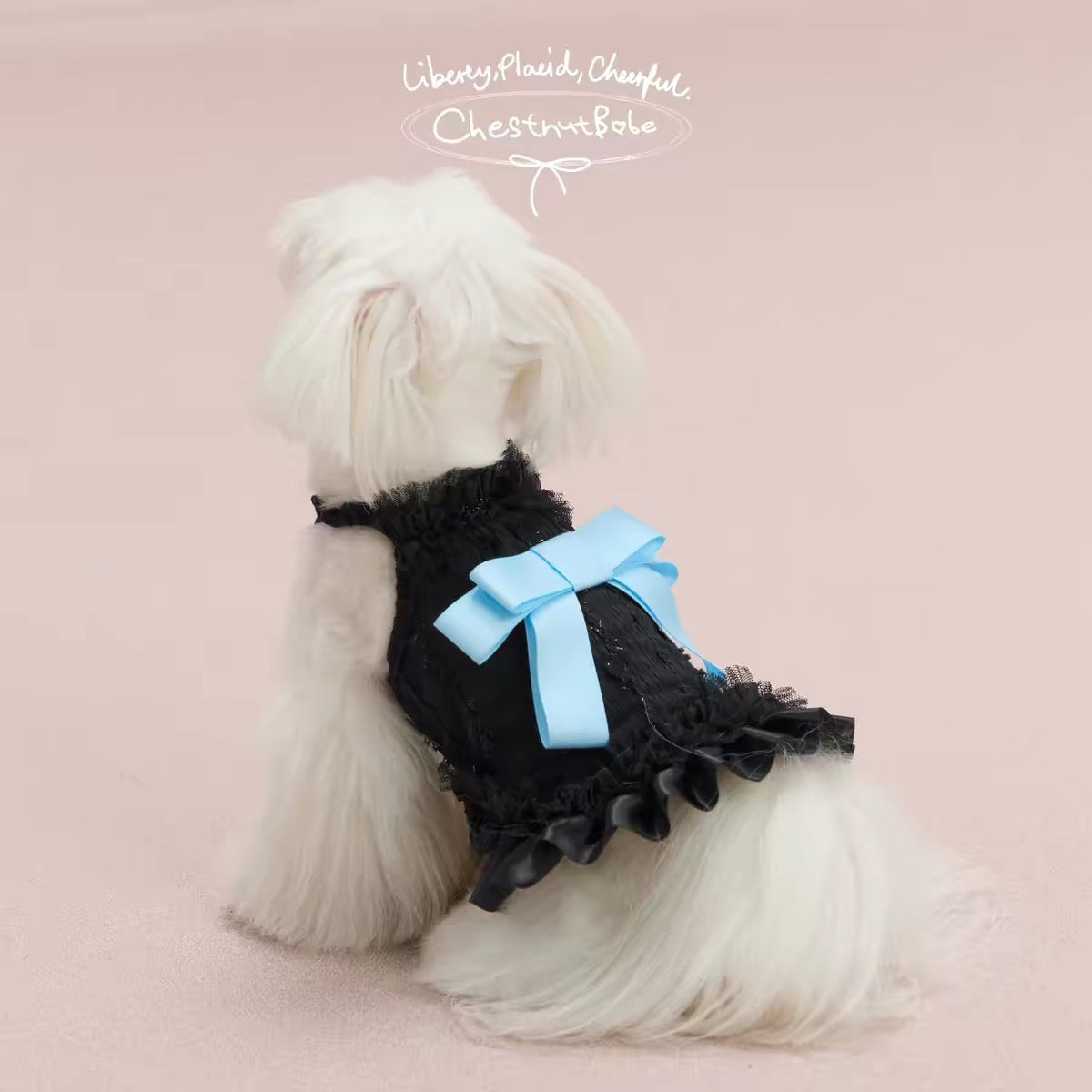 【予約販売商品】ButterSea 蝶結びキャミソールワンピース （Black）