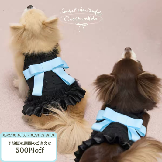 【予約販売商品】ButterSea 蝶結びキャミソールワンピース （Black）