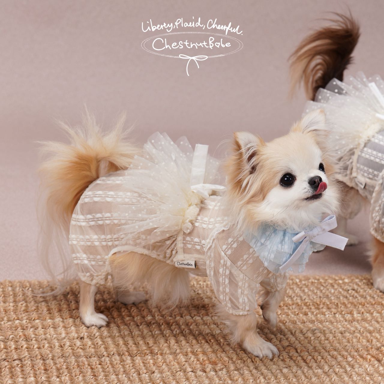 【予約販売商品】Hazy犬用ビブ（保冷剤ポケット）