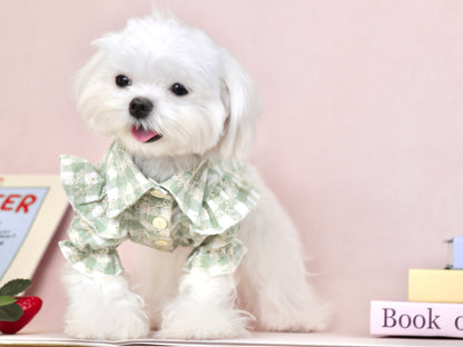 〜7.5kgまで｜犬服｜スター刺繡チェック柄ブラウス