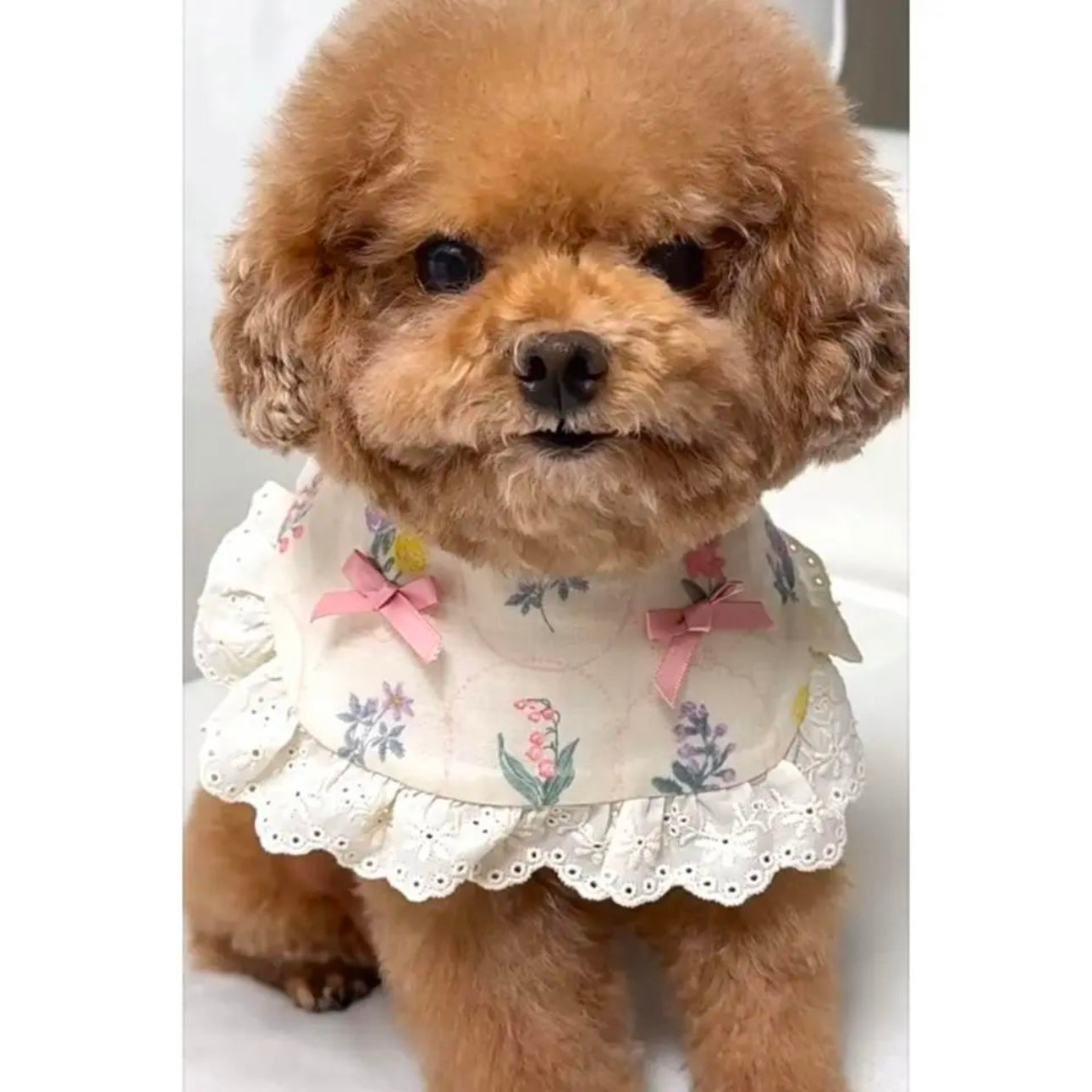 【夏🧊セール♪12％OFF】白地小花柄犬猫用ビブ♡わんちゃんねこちゃんバンダナ｜犬用バンダナ｜猫バンダナ｜猫スタイ｜犬スタイ｜よだれかけ　