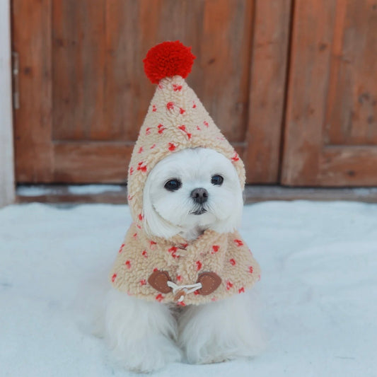 【予約販売】雪の妖精　マント＆ワンピース
