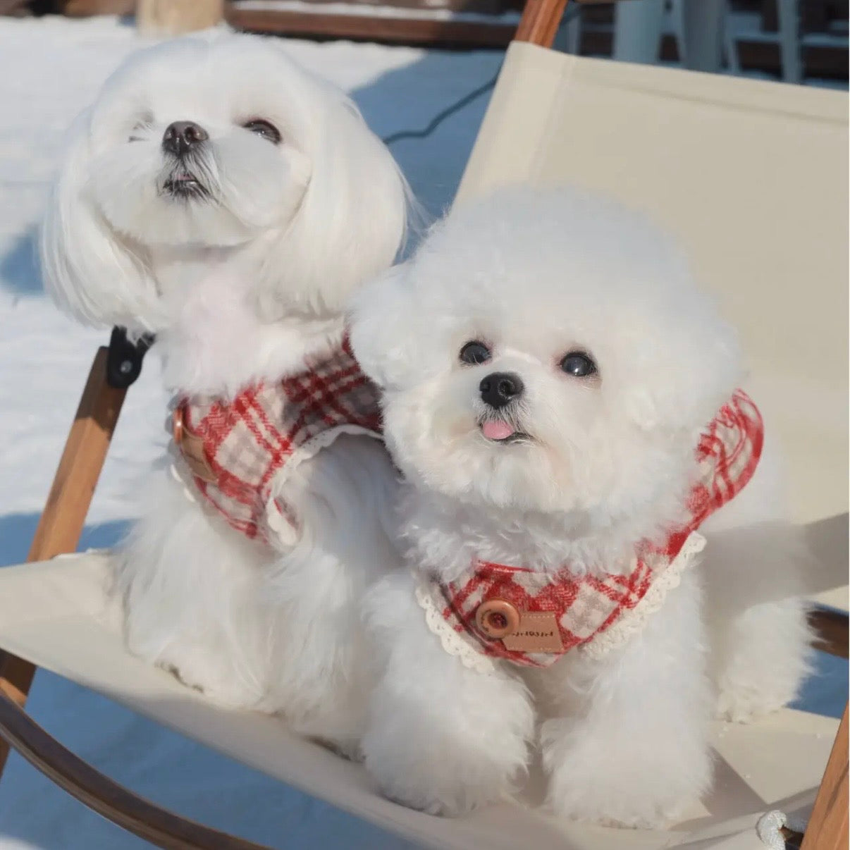 【予約販売】雪の妖精　マント＆ワンピース