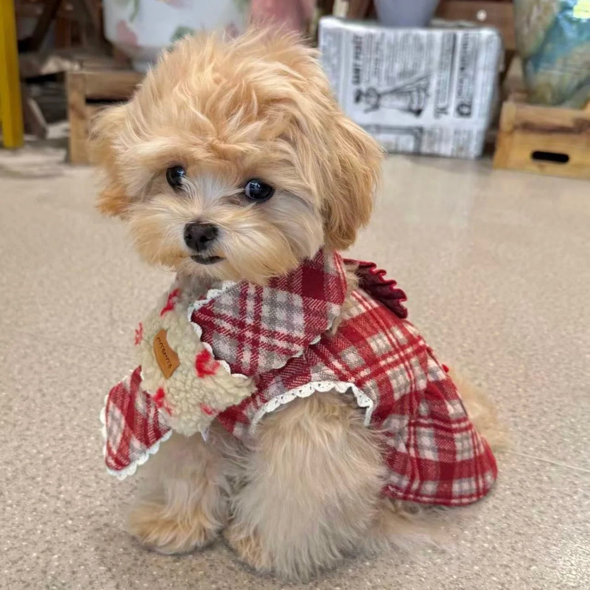 【予約販売】雪の妖精　マント＆ワンピース