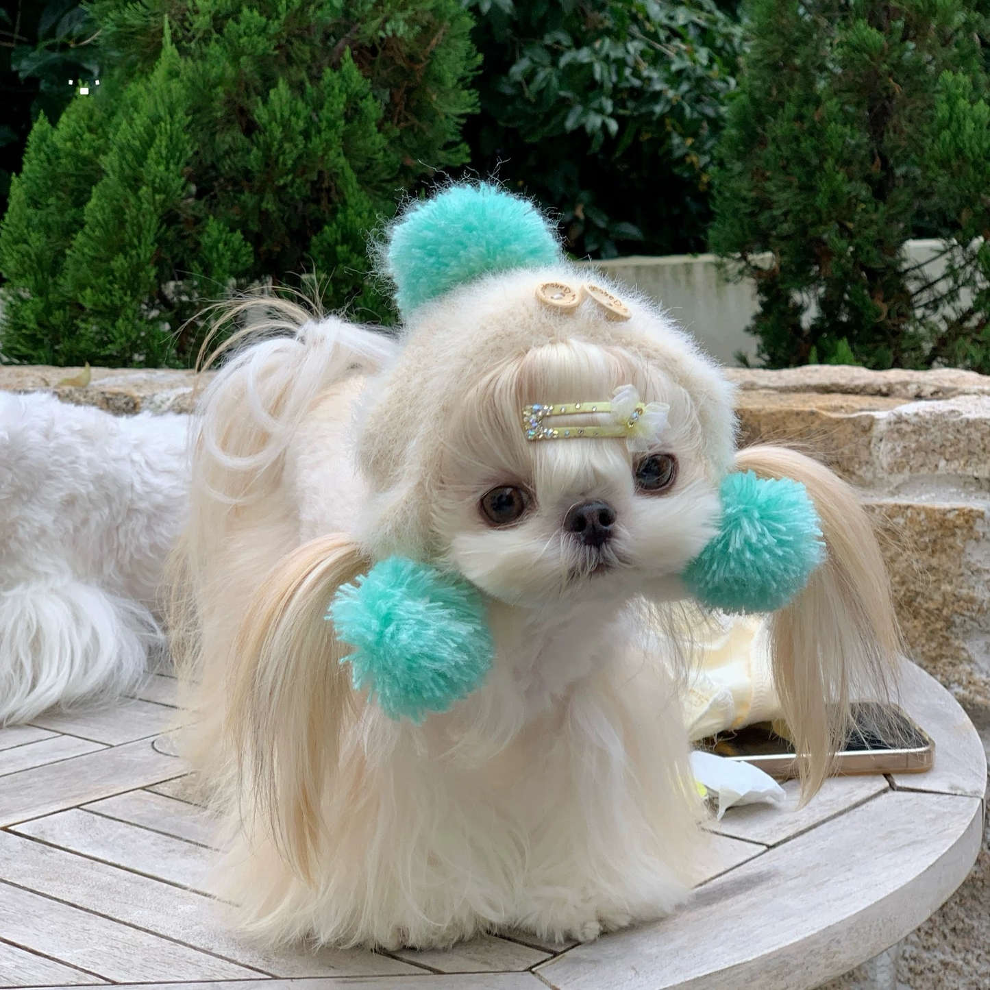 【予約販売】モヘアマフラー＆帽子