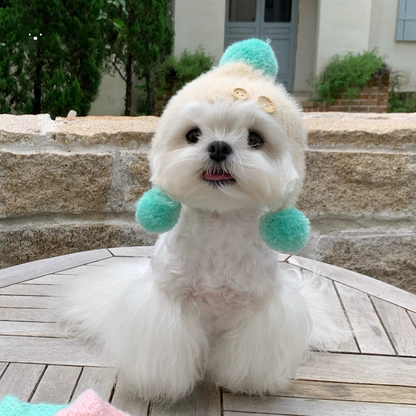 【予約販売】モヘアマフラー＆帽子