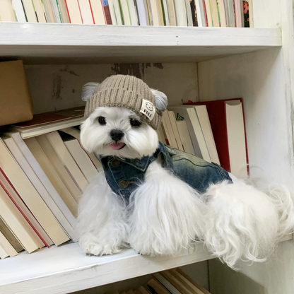 【予約販売】カッコいいニット帽