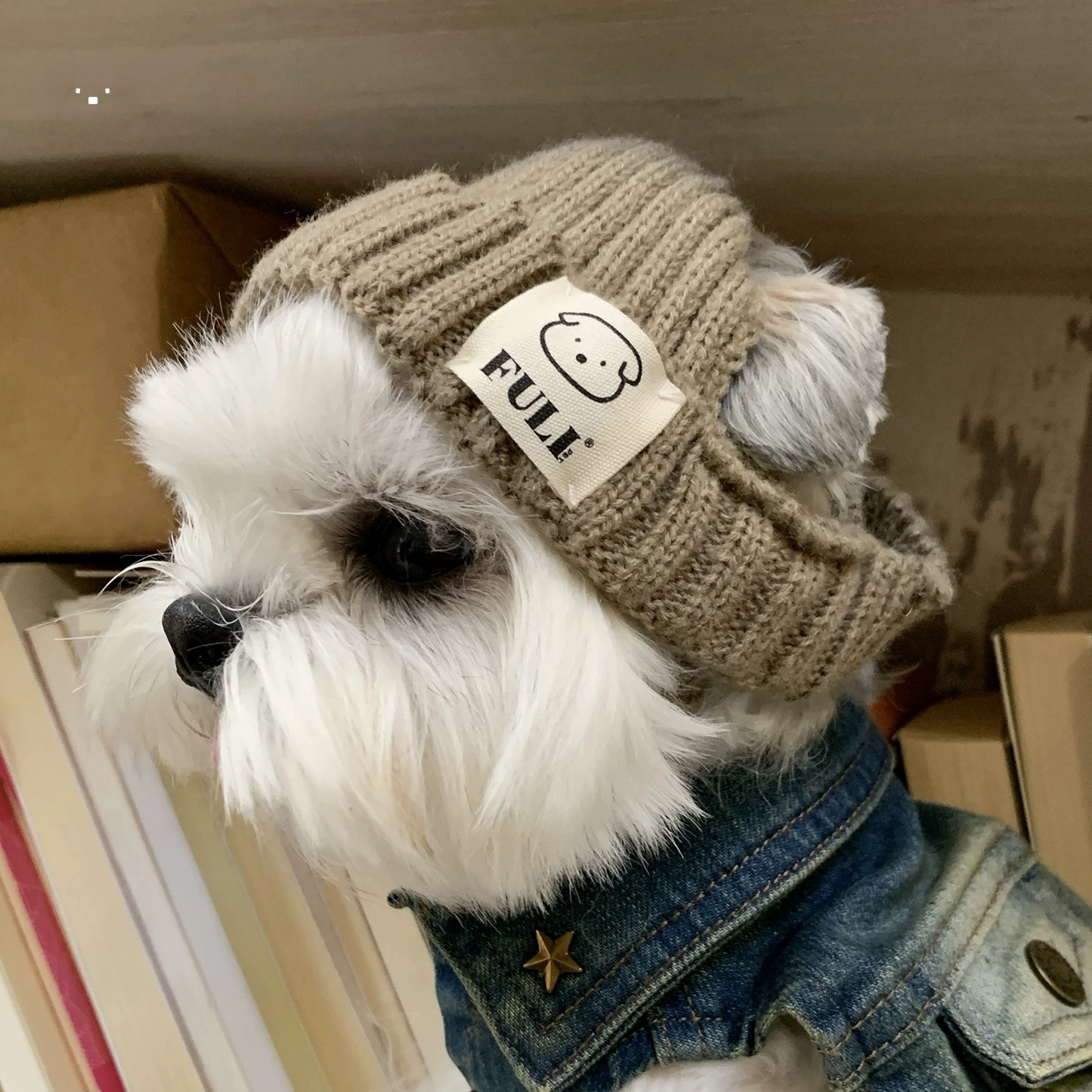 【予約販売】カッコいいニット帽