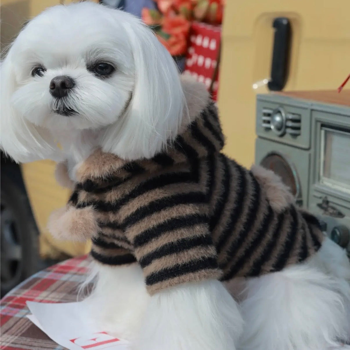 【予約販売】ふわふわボアフードパーカー