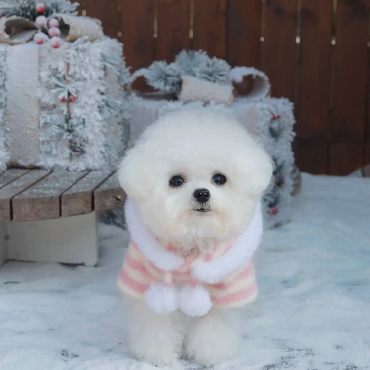 【予約販売】ふわふわボアフードパーカー