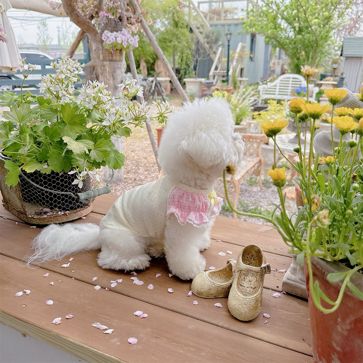 ~7kgまで｜キラ✨フリフリトップス