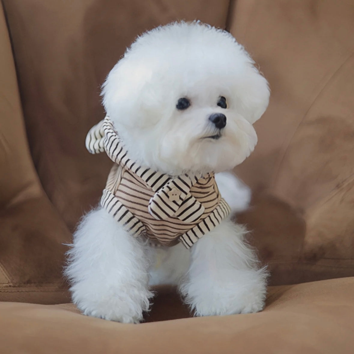 【予約販売】くま耳ノースリーブパーカー